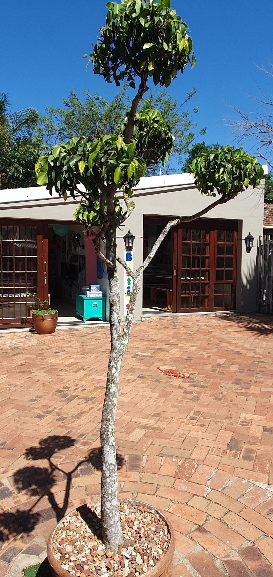 3 Bedroom Property for Sale in Levyvale Eastern Cape